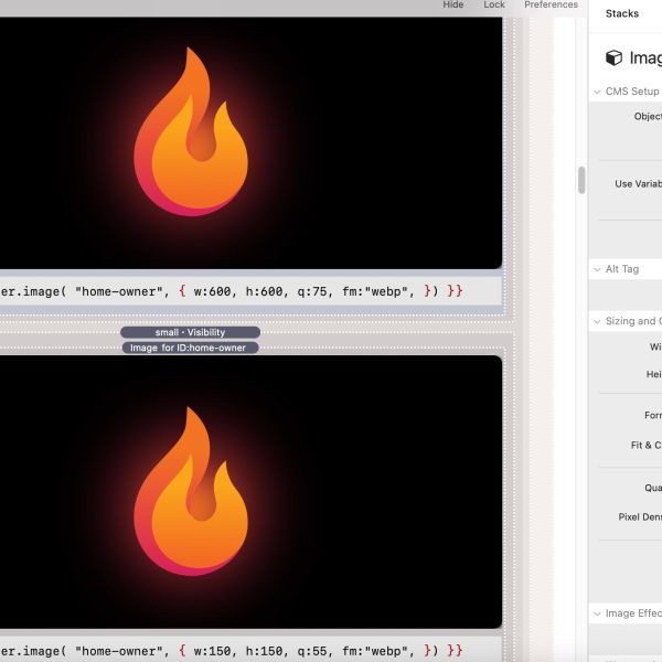 Using two versions of the TCMS3 Image stack controlled by the Visibility stack.