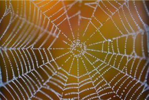 Sources of free images and video