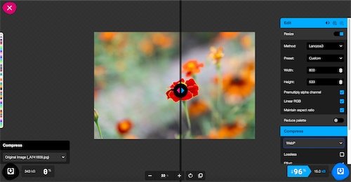 The website repair shop - using squoosh to resize and output as webp