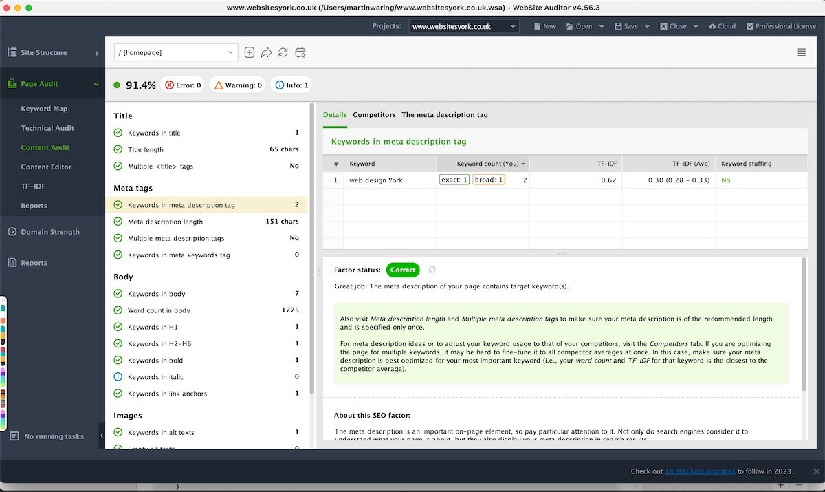 Website Auditor Test of the Home page