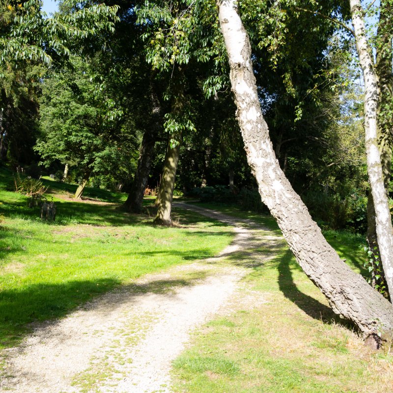 Lakeside path at Castle Howard 20th September 2026