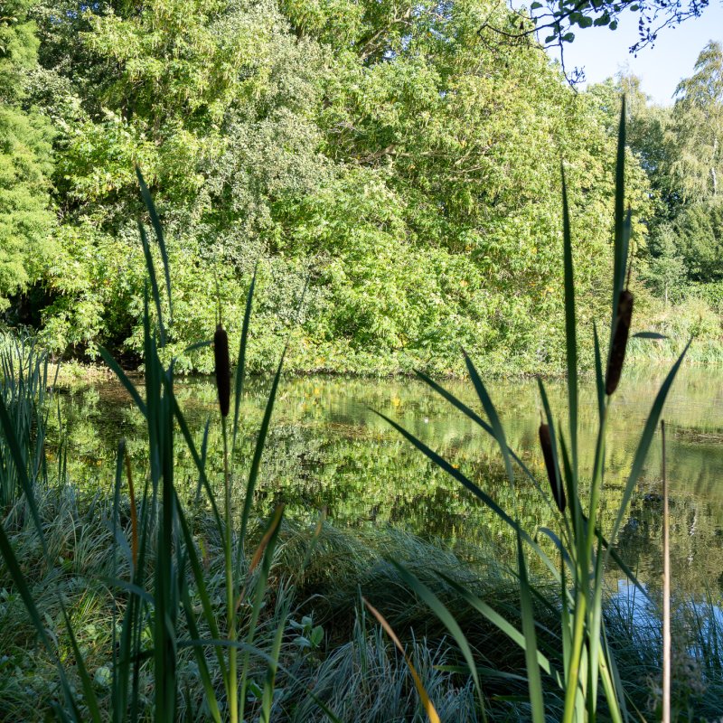 The lake at Castle Howard 20th September 2026 image 8