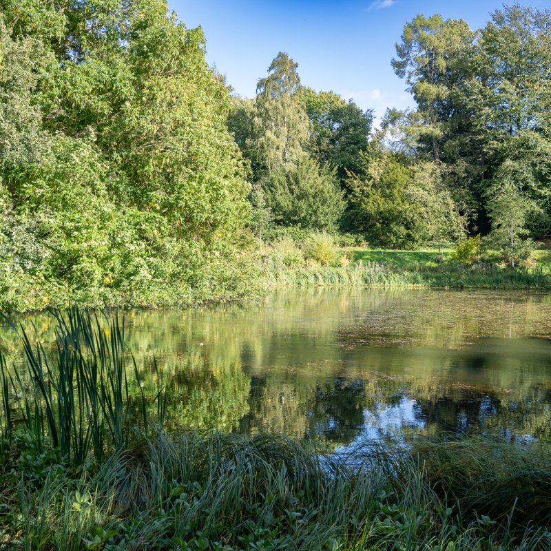 The lake at Castle Howard 20th September 2026 image 7