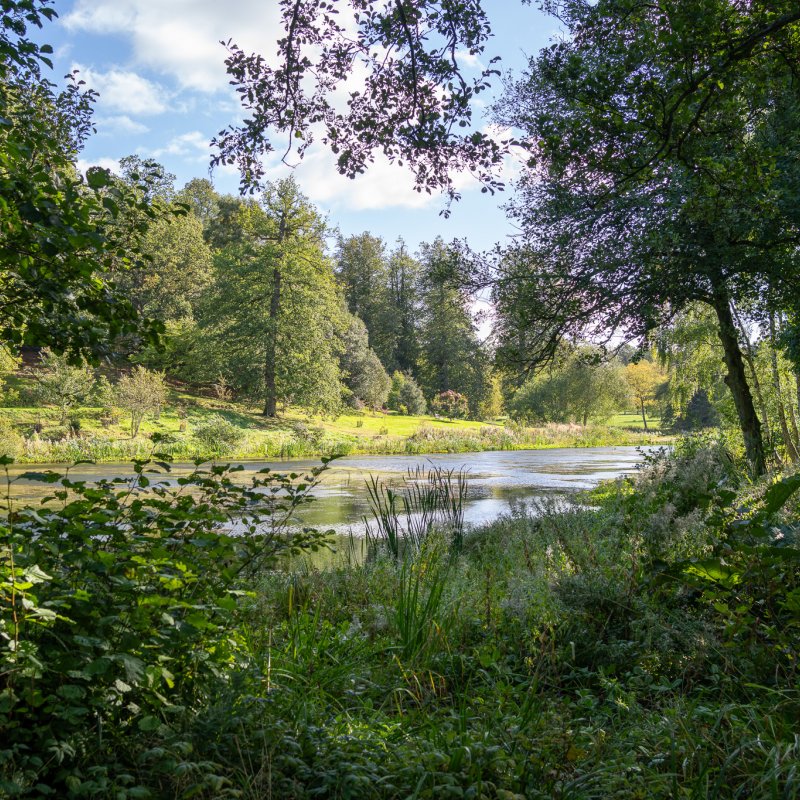 The lake at Castle Howard 20th September 2026 image 6