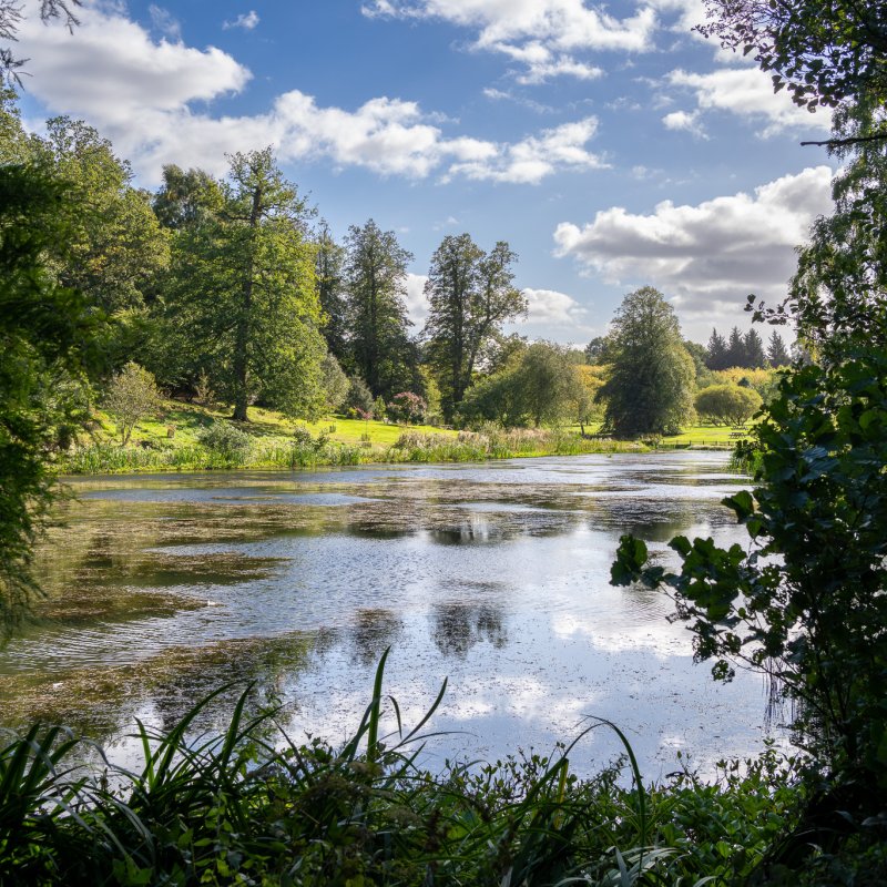 The lake at Castle Howard 20th September 2026 image 5