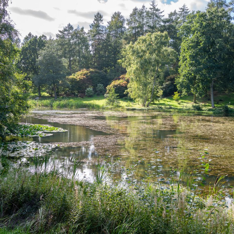 The lake at Castle Howard 20th September 2026 image 4