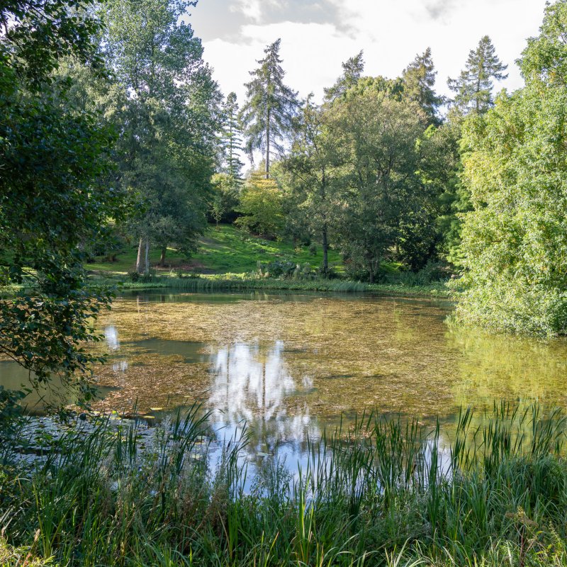 The lake at Castle Howard 20th September 2026 image 3