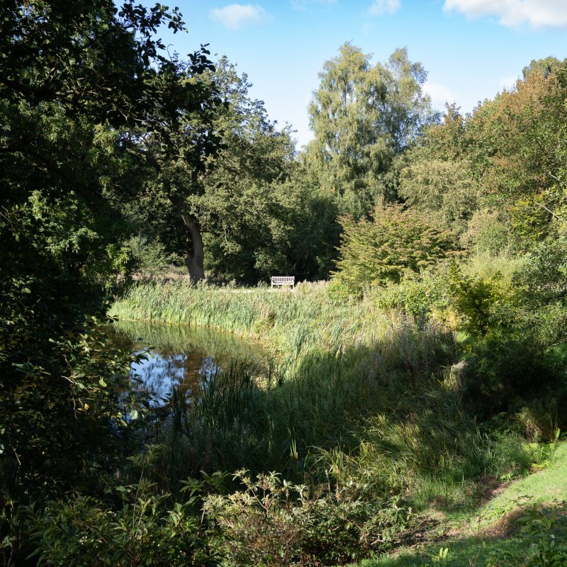The lake at Castle Howard 20th September 2026 image 2