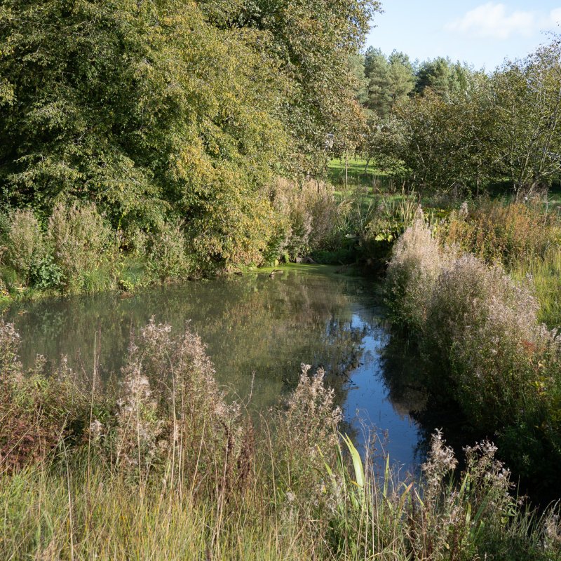 The lake at Castle Howard 20th September 2026
