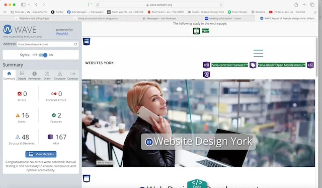 Web accessibilty evaluation tool