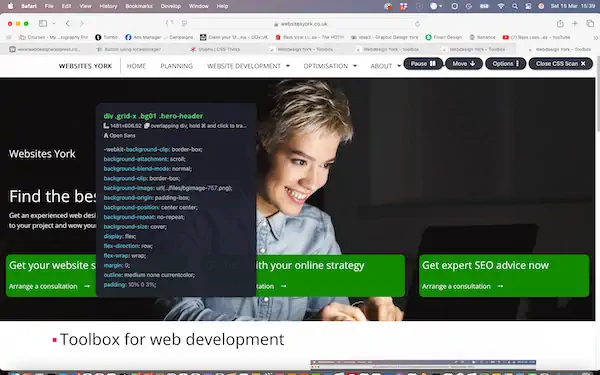 CSS Scan
